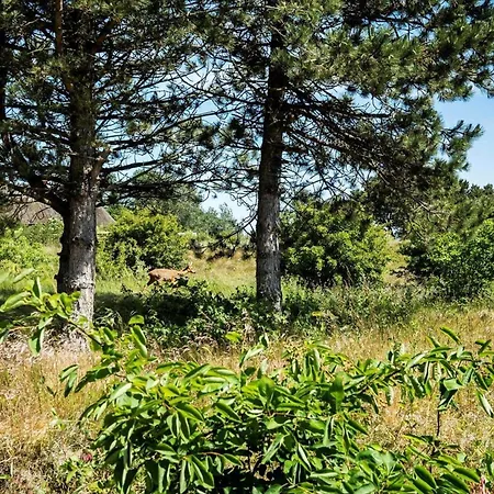 0234-romo-a-m-listsvej-13 Tagholm